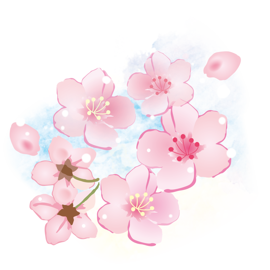 香椎桜まつりを見に行きましたのイメージ画像