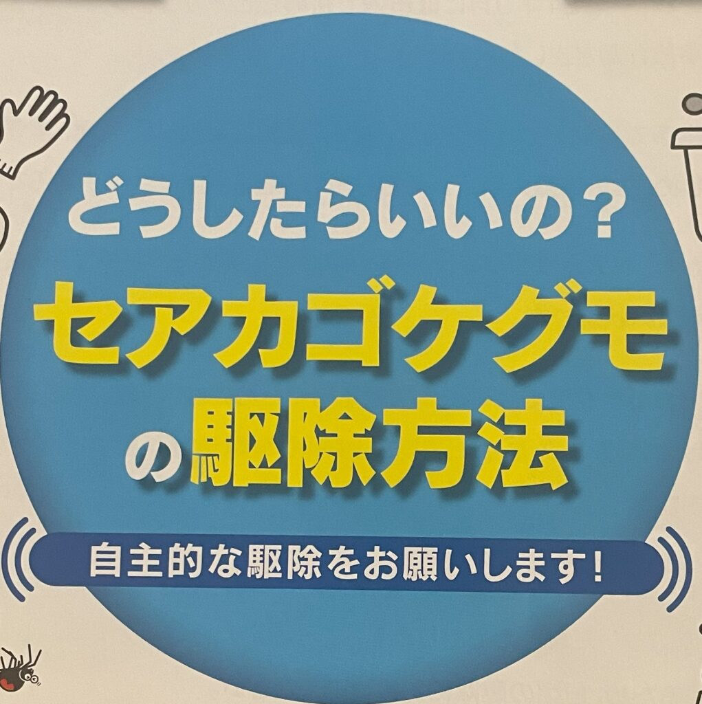 福岡市出前講座「セアカゴケグモに気をつけて！」のイメージ画像